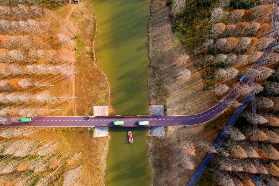 生物多样性保护的有关行动计划,保护生物多样性刻不容缓