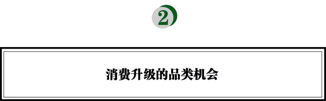 李丰消费创业,李丰投资的跨境电商