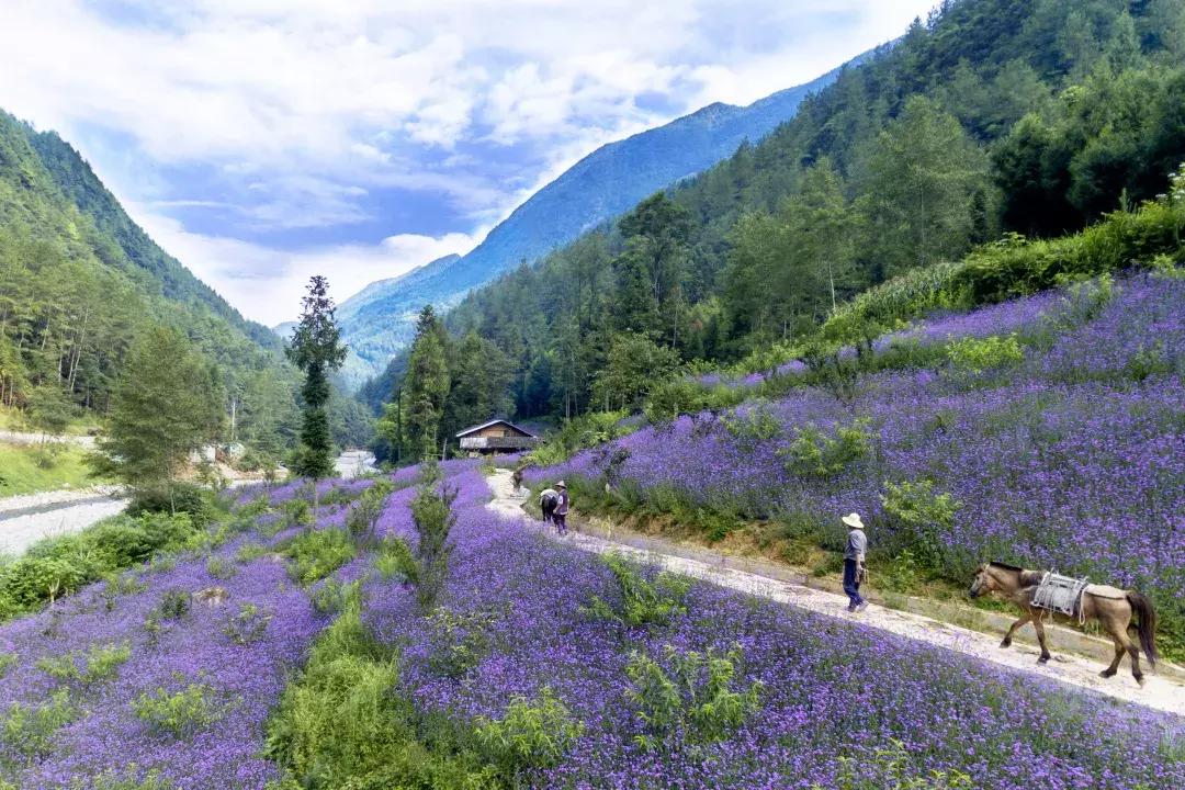 大美宣汉清明出游,大美宣汉完整视频