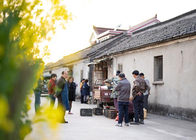 一文说全:腌咸蛋的各种江湖美味流派,说到最后,眼眶湿润了