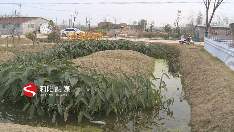 泗阳生态环境监测数据,泗阳县生态环境现状