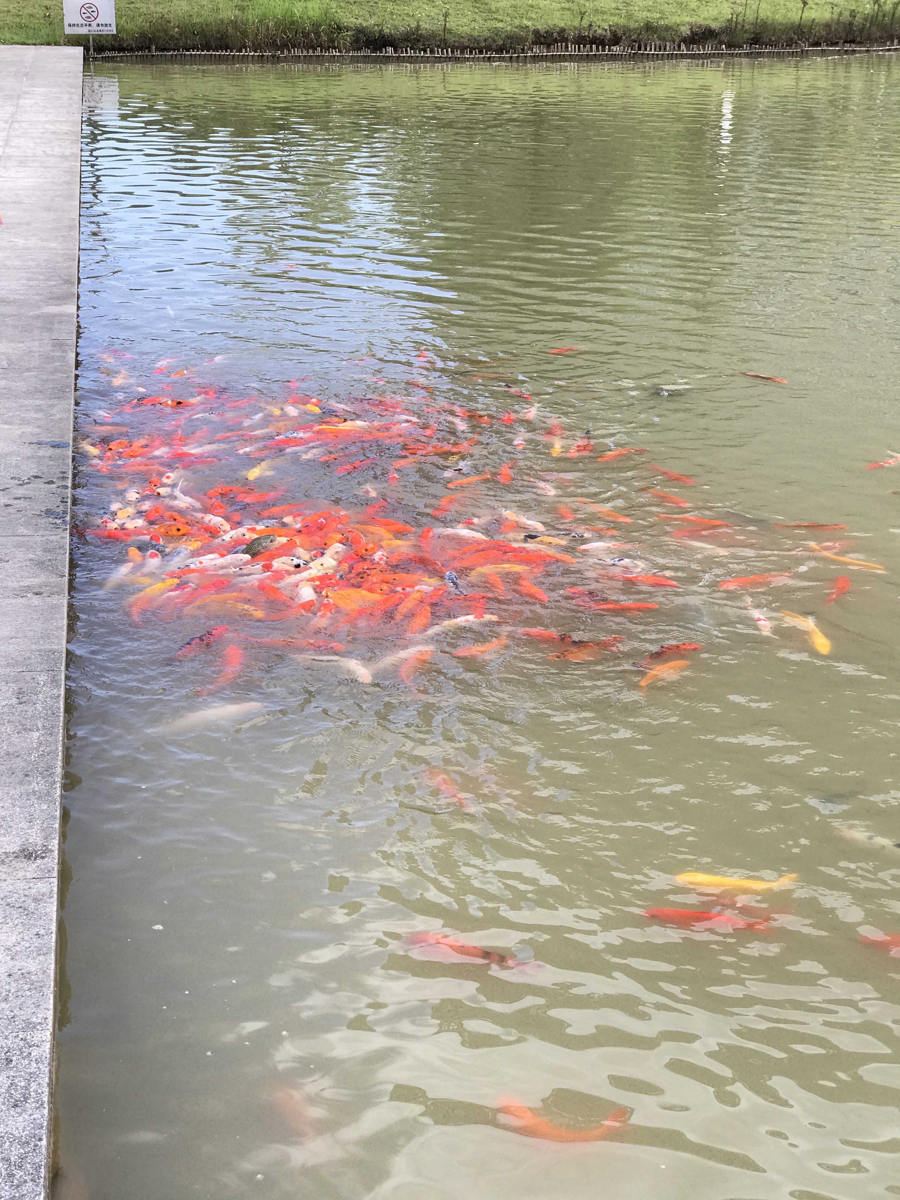 高考结束后应该给学长说什么,高考过后你要干嘛