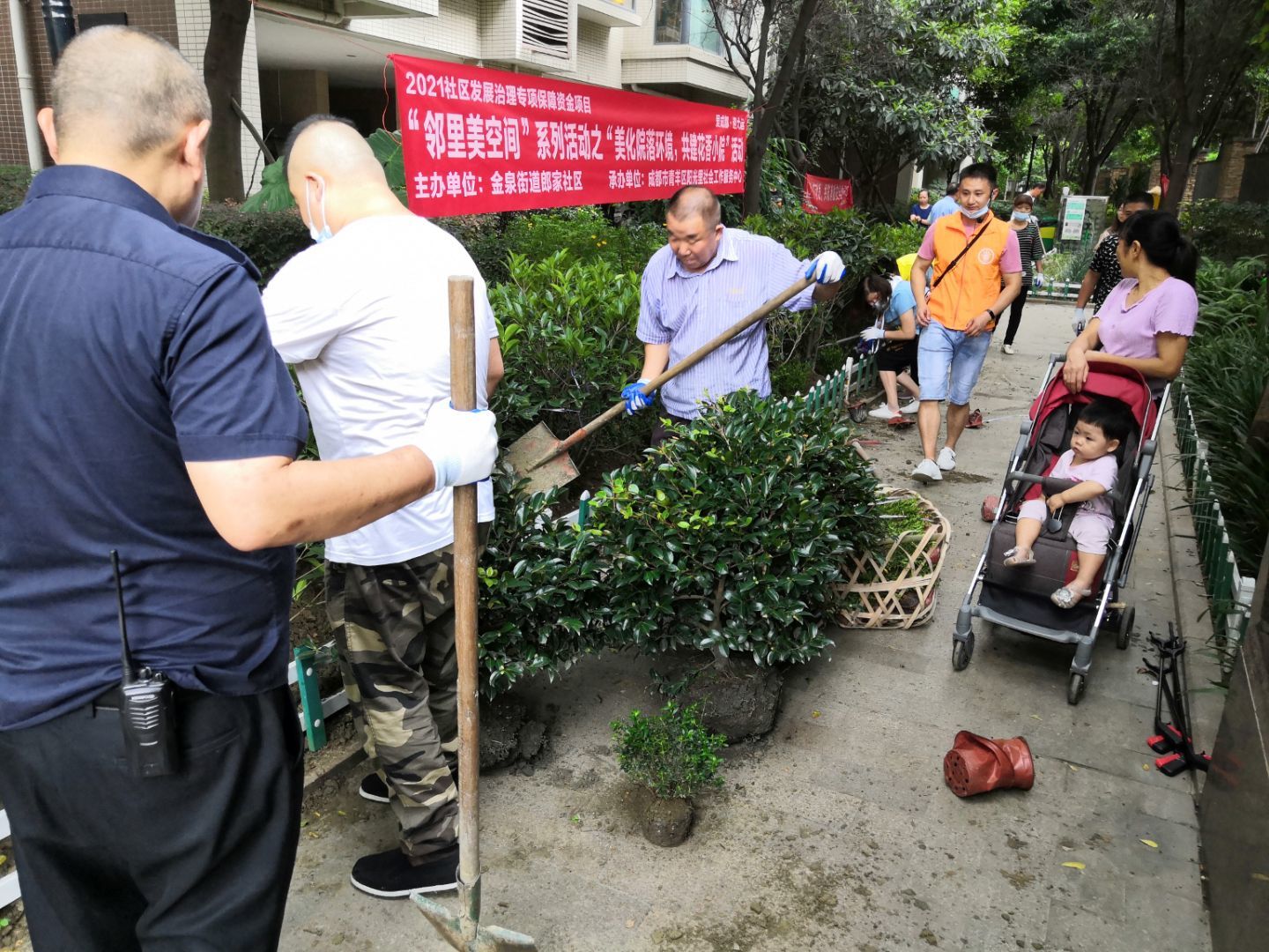 美化农家小院,美化小院