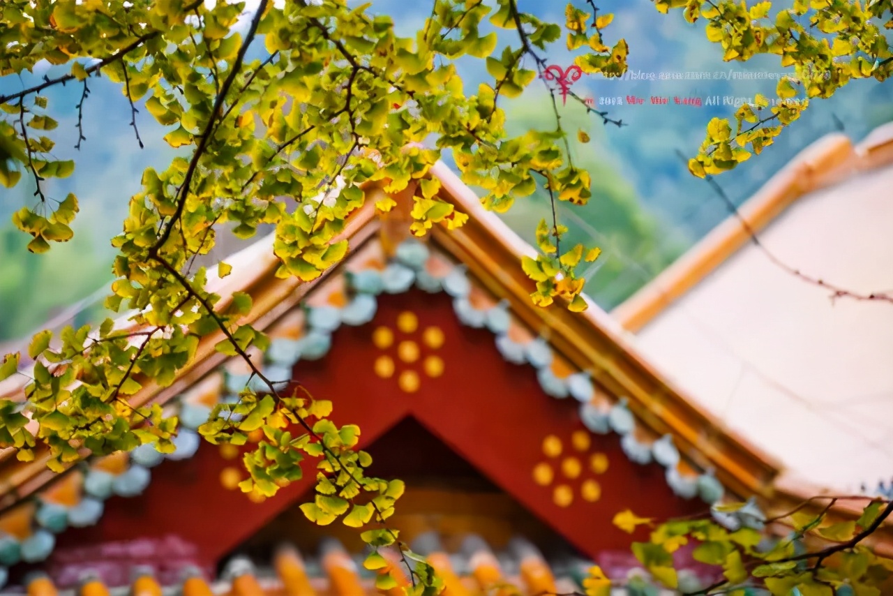 杭州天目山上客堂禅意民宿,天目山斐文禅意酒店