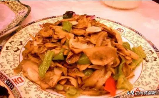 世界上最好吃的四种菌,世界上最好的菌菇