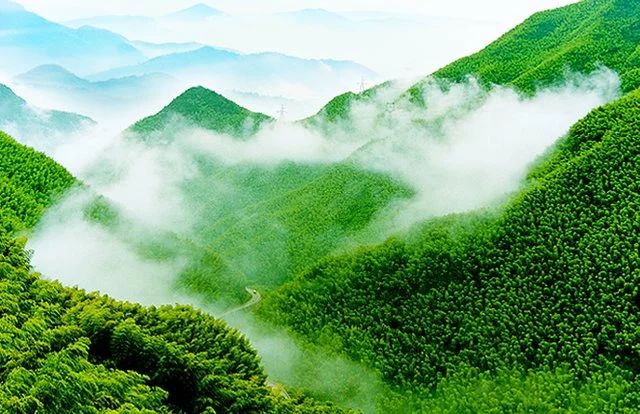 浙江最值得去的13家亲子酒店,安吉最赞的亲子酒店