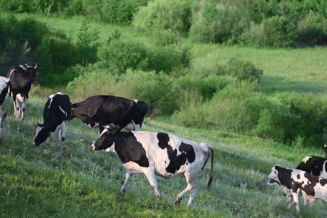 配方奶粉选购有技巧干货满满,配方奶粉选购指标