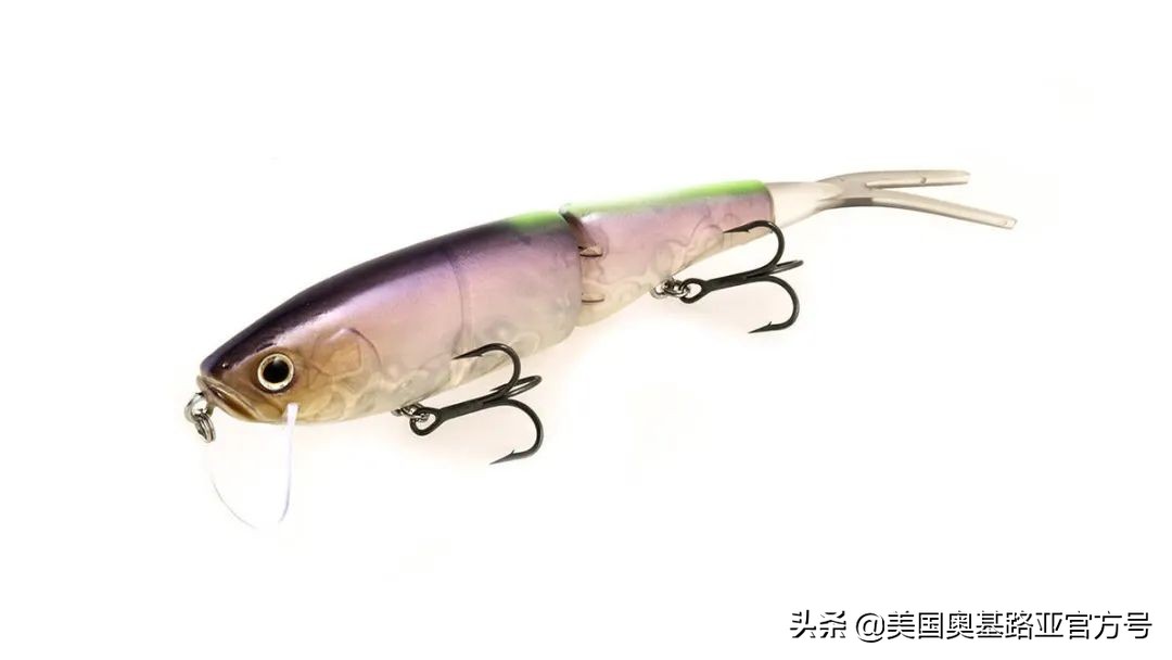 2021年春季渔具展会,2021昆明渔具展时间表