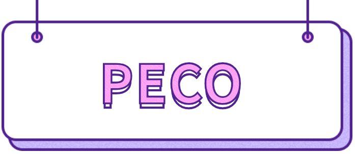 小众包包品牌推荐,这10类包包不要买