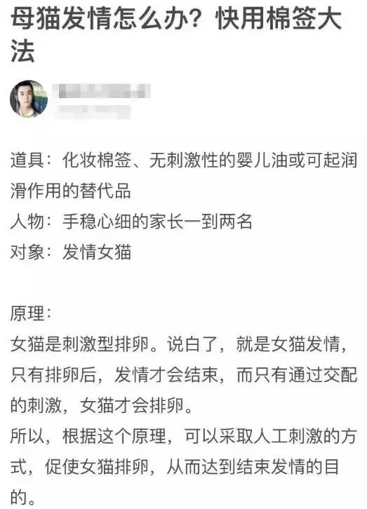 猫咪猫闹该怎么办？现在还有人相信棉签*法大**？