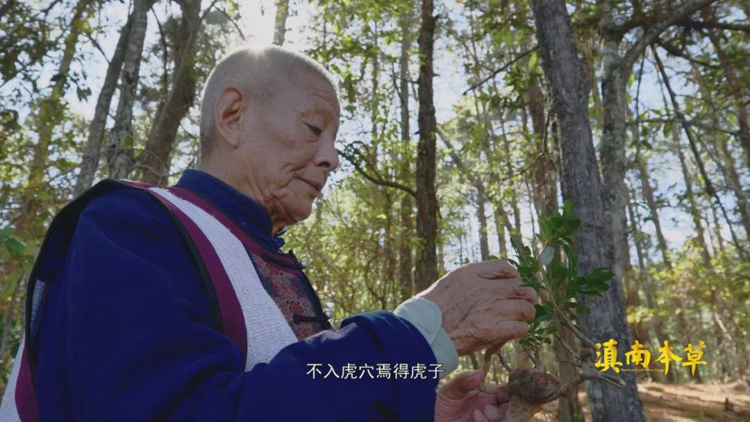 人有些啥病,民间神奇彝医真实故事