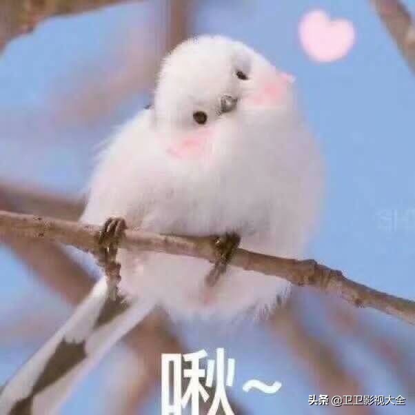 火车车票改签退票小技巧,火车票退票改签省钱小窍门