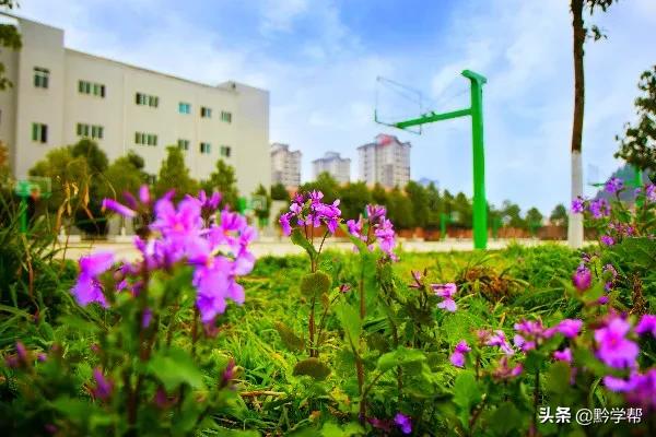 捐助达500万！贵阳这所学校招收免费就读学生网友：太有爱