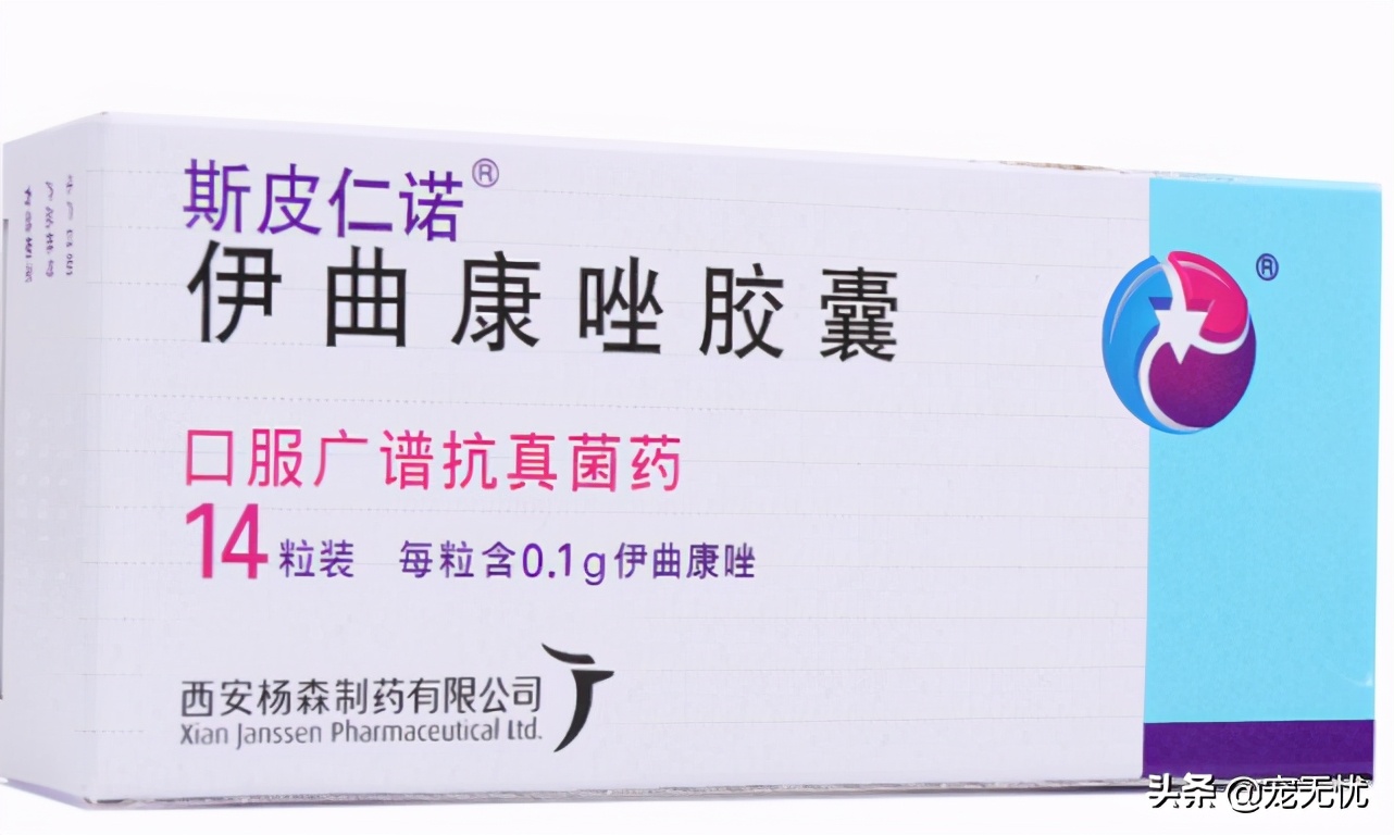 猫咪感染癣,猫咪感染猫癣怎么办