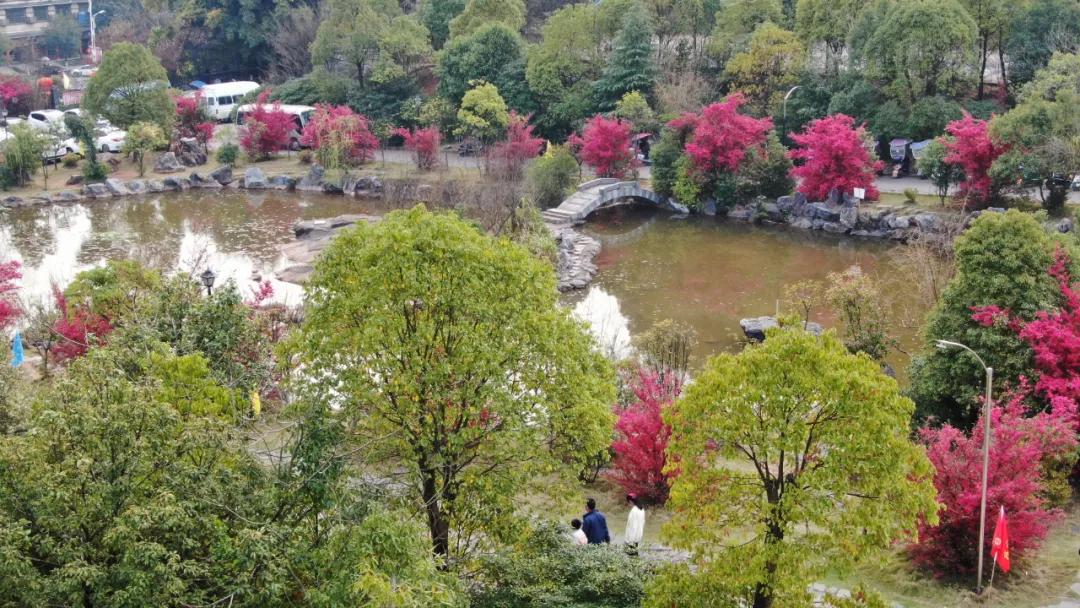 迎接校园里的百花齐放,教室窗外百花齐放