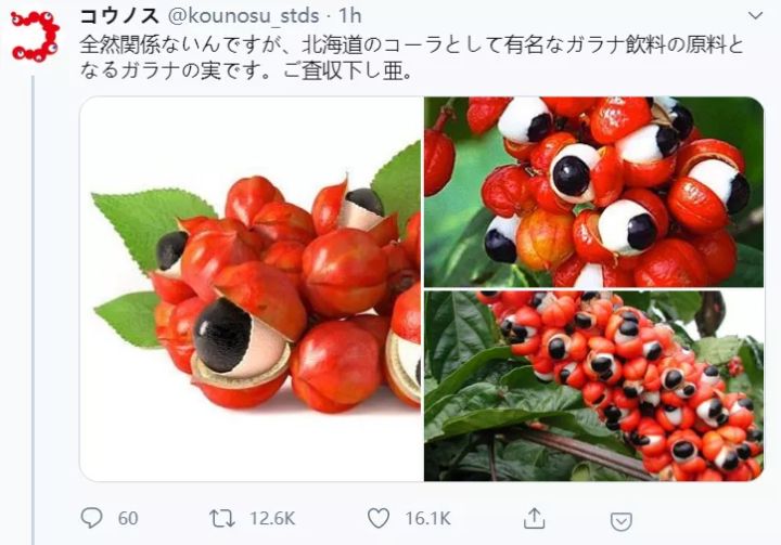 克苏鲁邪神系列小说,克苏鲁原初邪神