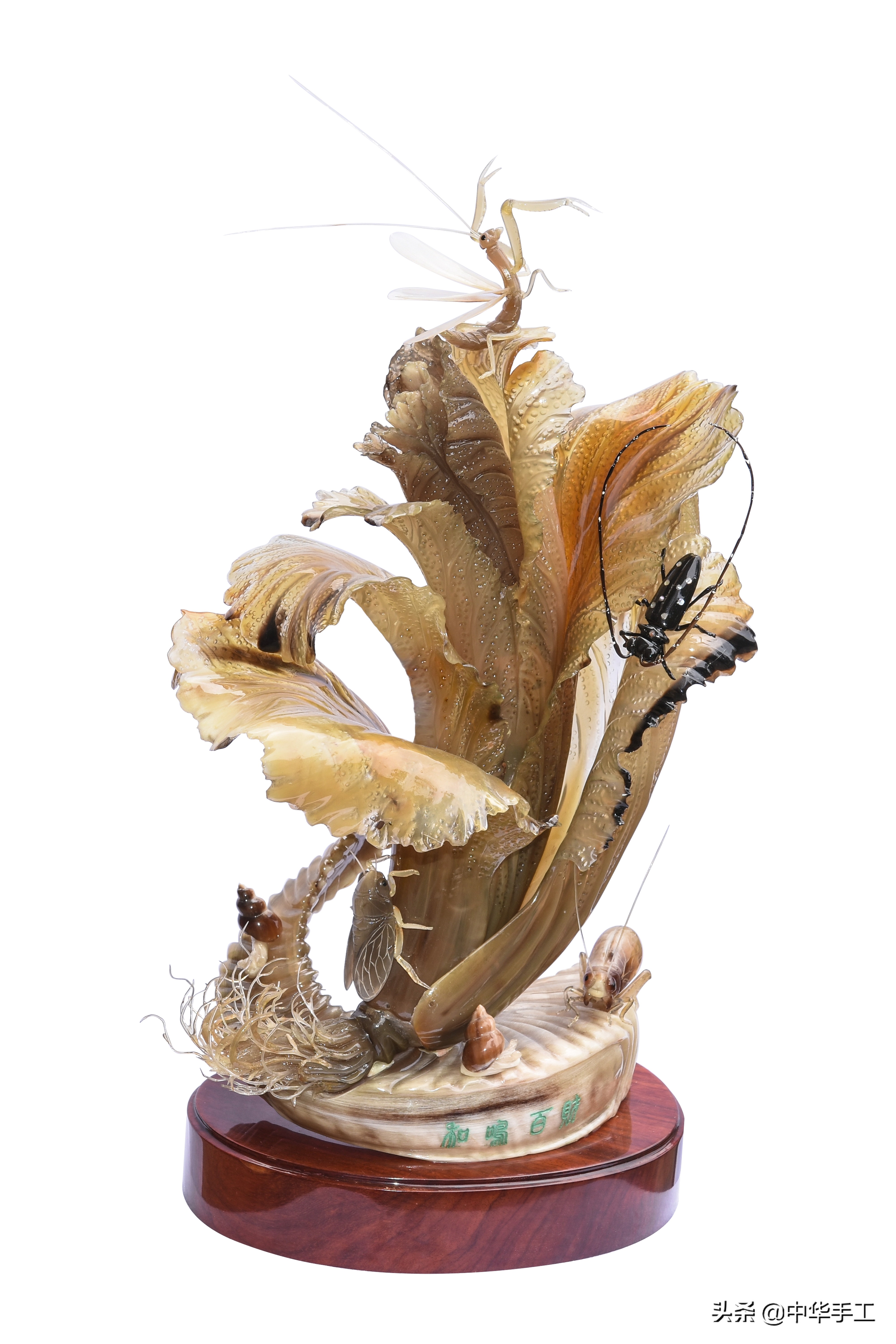 隐藏的民间绝技,隐藏在民间的牛人绝技