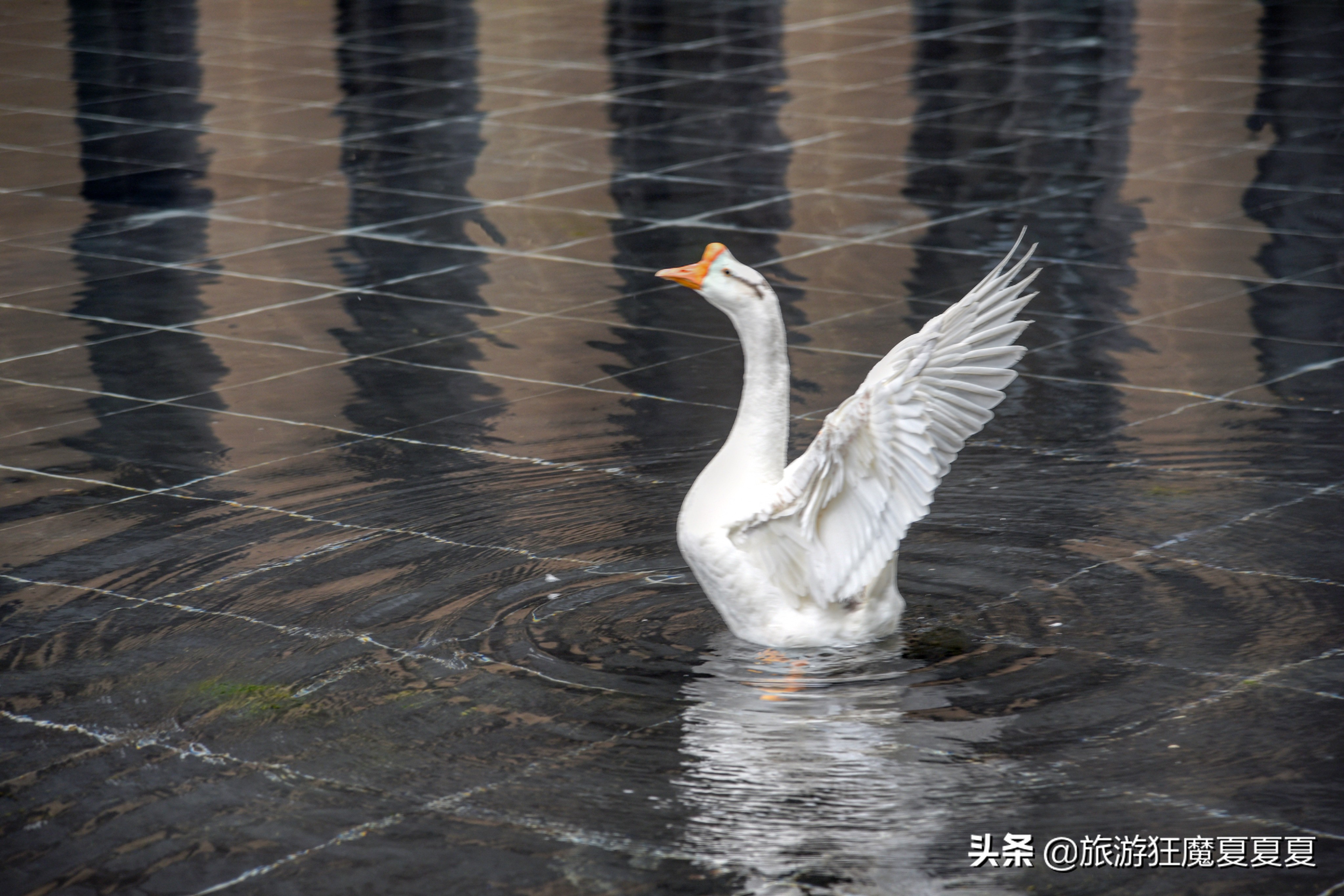 南京适合亲子聚餐地,南京适合亲子活动度假村