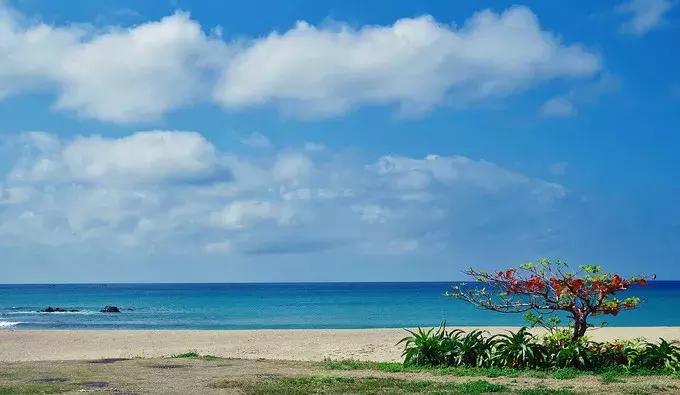 海南飞广州多少钱,春节成都飞东南亚