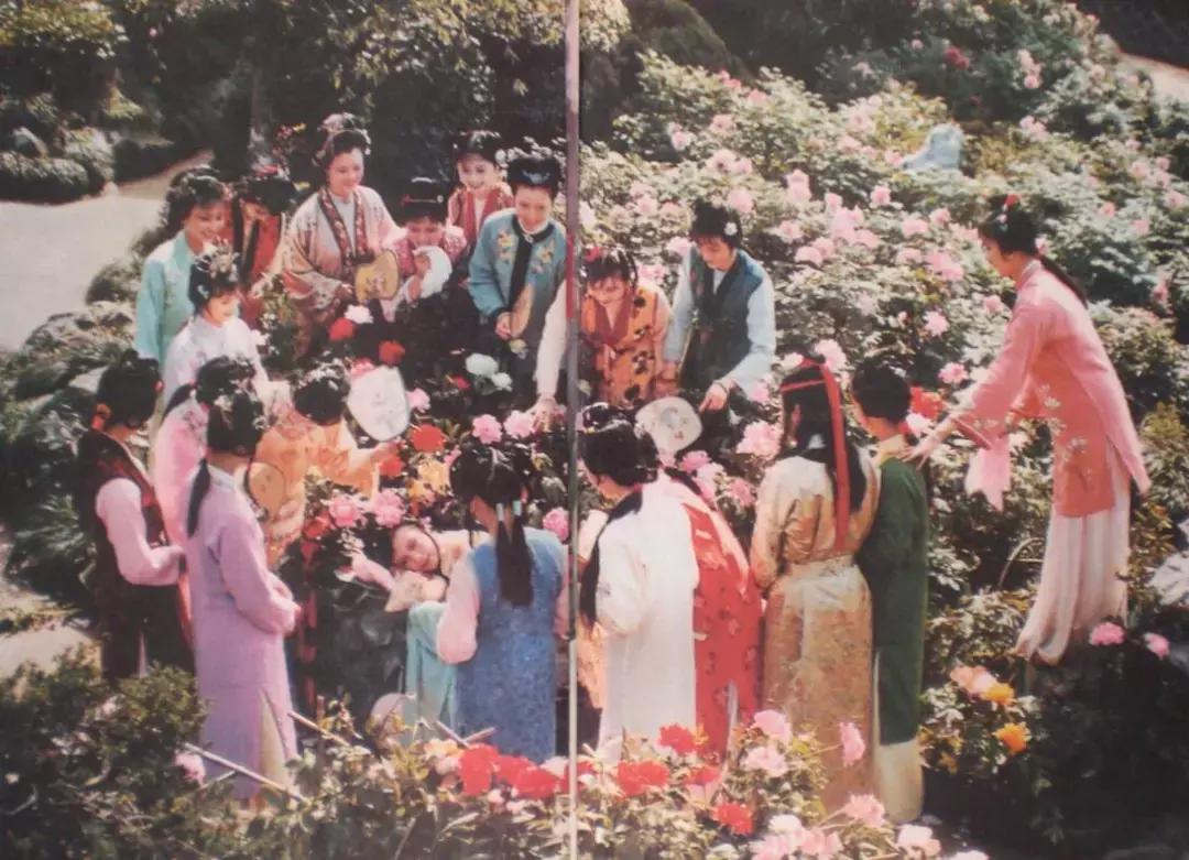 红楼梦贾宝玉为什么不喜欢薛宝钗,红楼梦中众人对贾宝玉的评价