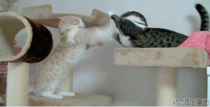 代购的深刻反省,收到代购假货居然还被骂