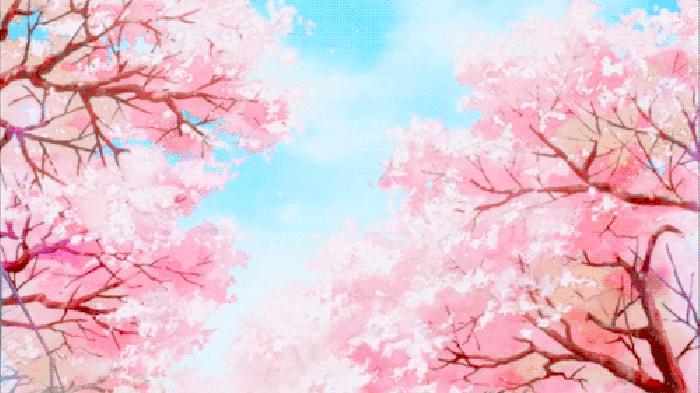 2018年樱花限定粉,2019年樱花限定品