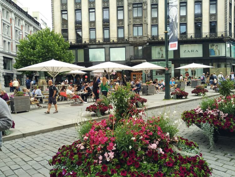 欧洲什么地方幸福指数最高,北欧幸福感最强的国家