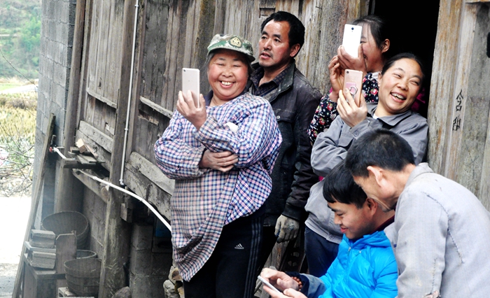 春到茶山好风光,春到安宁景醉人