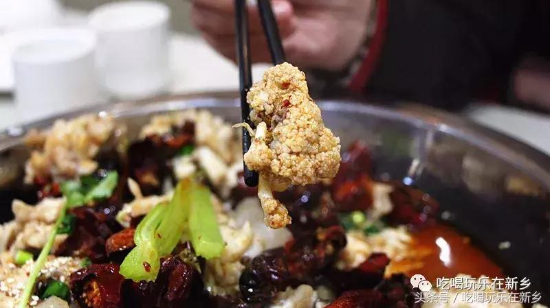 2058花乌鱼？新乡人再不补充胶原蛋白就要加入脱发大军啦！