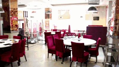 2058花乌鱼？新乡人再不补充胶原蛋白就要加入脱发大军啦！