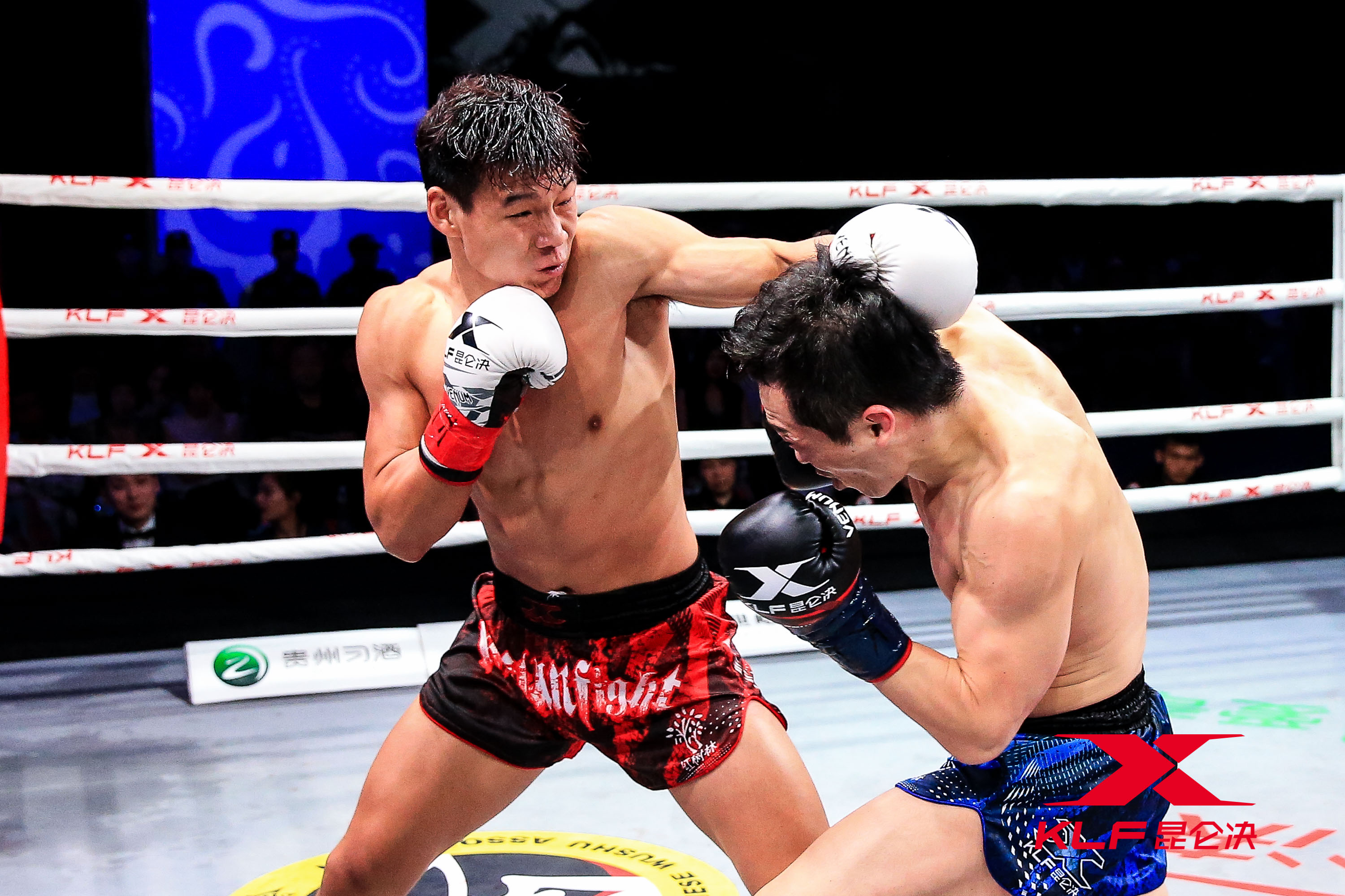 昆仑决汪柯菡出场,昆仑决汪柯菡输给了谁