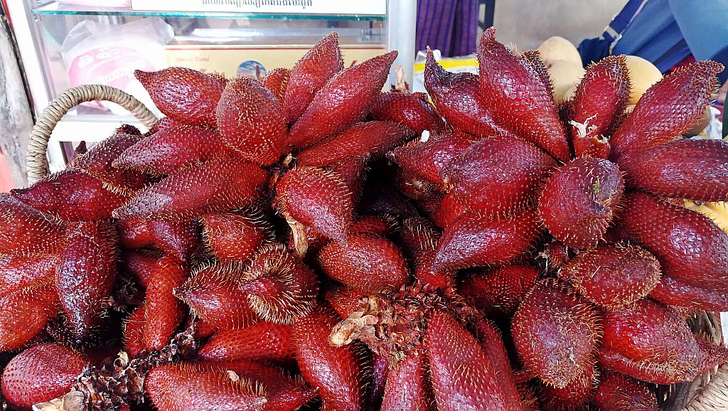 柬埔寨都有啥水果和特产,柬埔寨那些奇葩水果