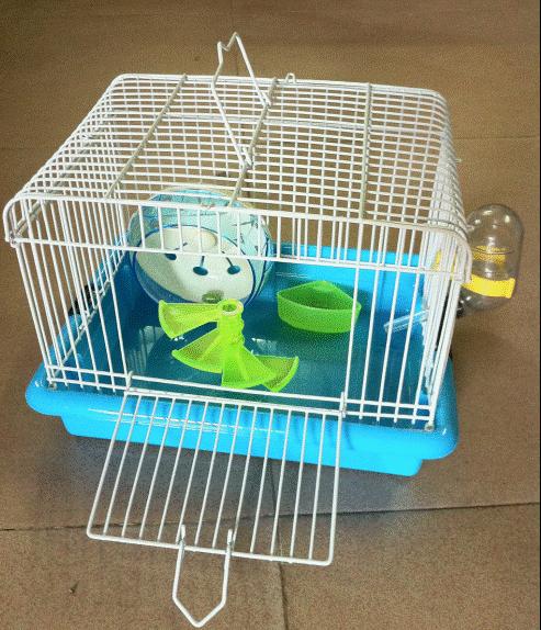 学生养仓鼠必备用品,养仓鼠必不可少的用品都有哪些