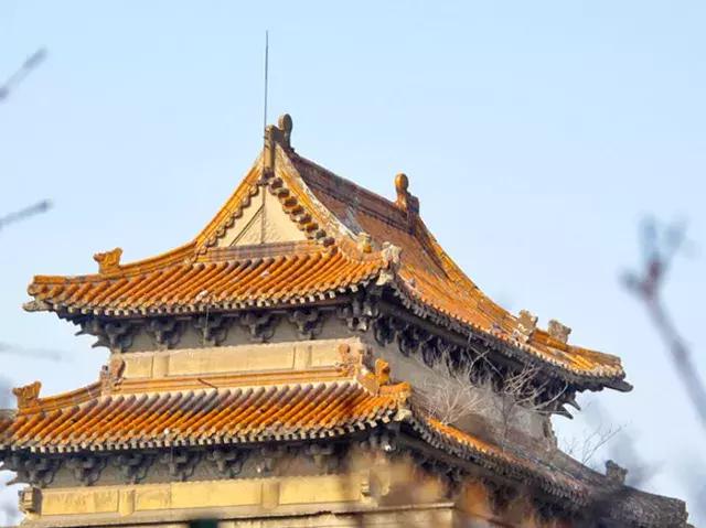 上海杨浦区最新发展规划,大局已定未来五年咋样