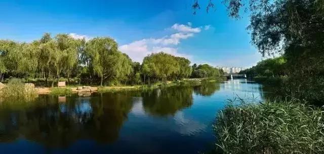 上海杨浦区最新发展规划,大局已定未来五年咋样