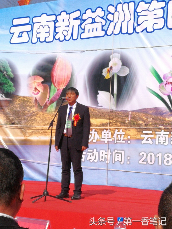2020年云南兰花展获奖图片,2018年昆明兰花展精品图片