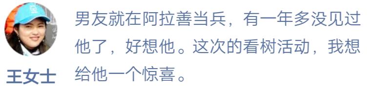 植树节怎么宣传,植树节公益广告2023年