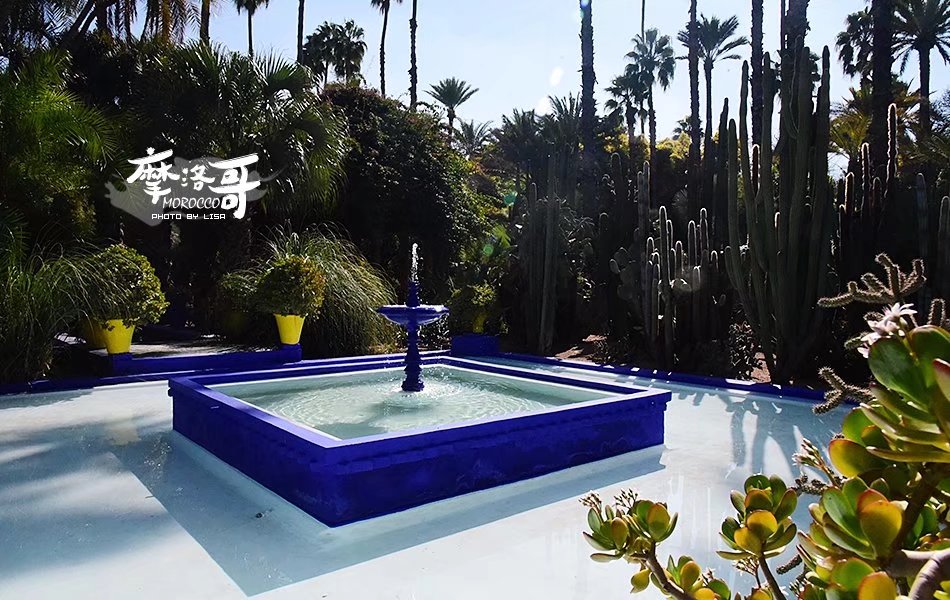 走进摩洛哥,摩洛哥旅游马拉喀什游记