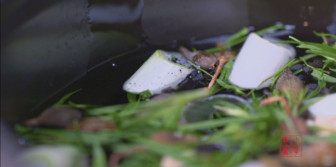 这款「葱豉桔梗汤」让您远离风热感冒