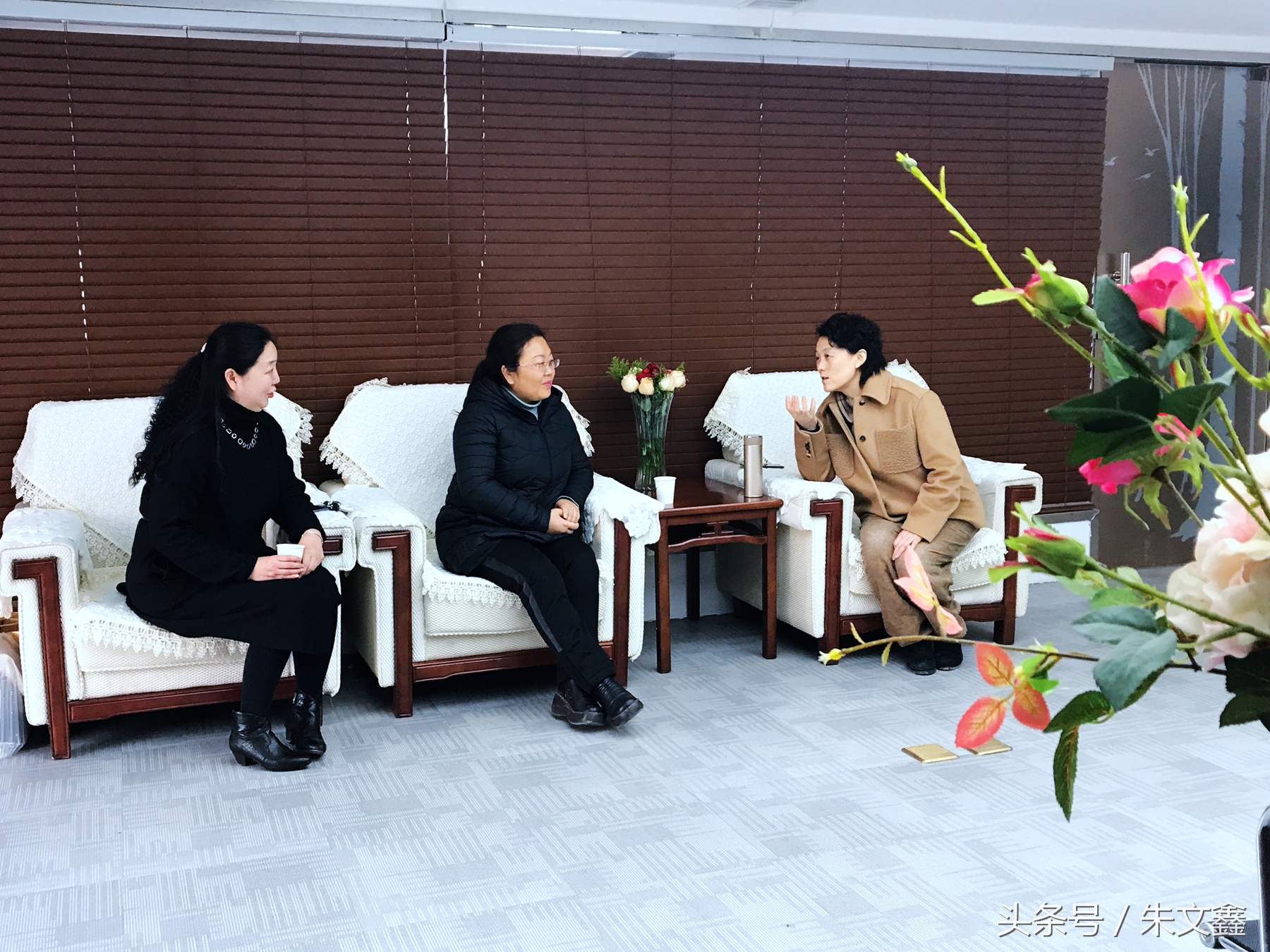 群雁高飞头雁领什么意思,群雁高飞