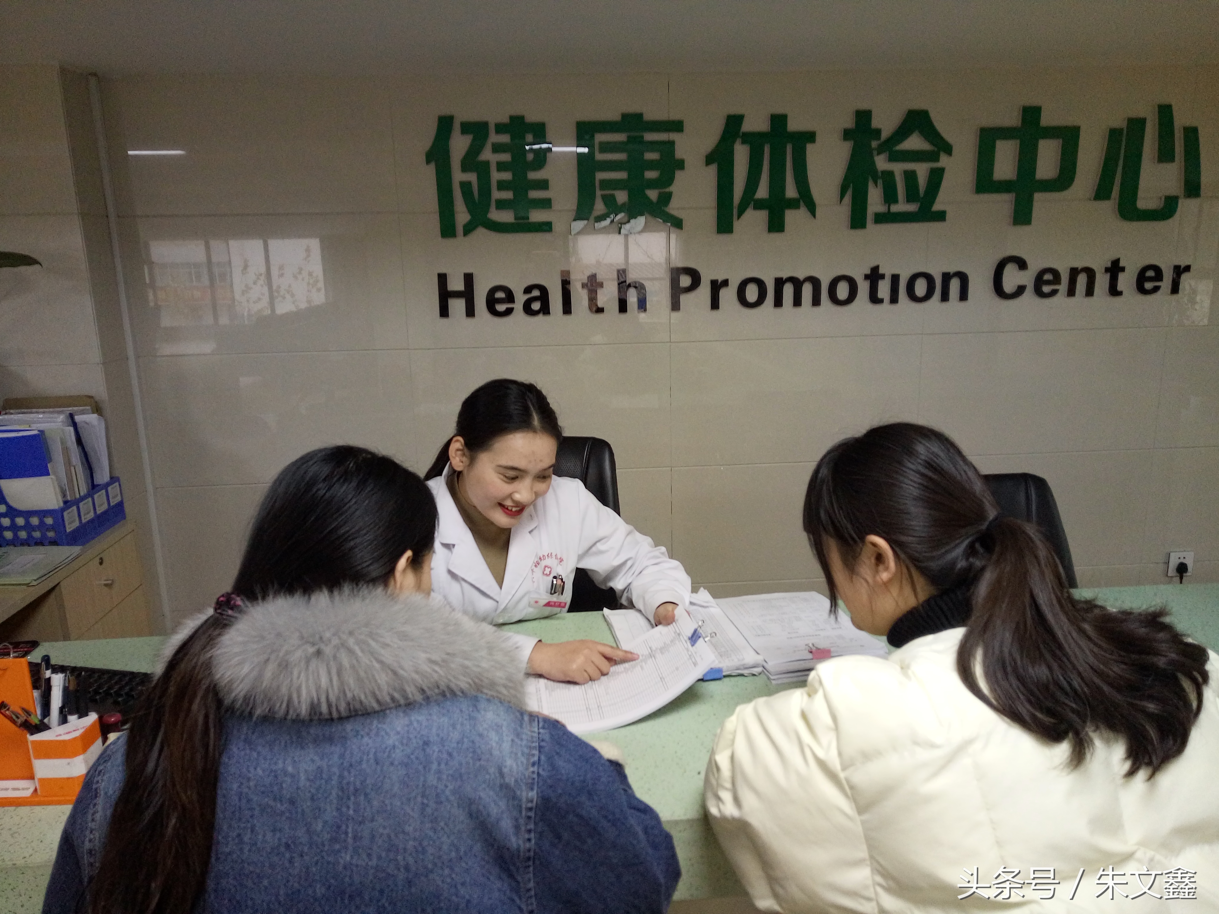 群雁高飞头雁领什么意思,群雁高飞