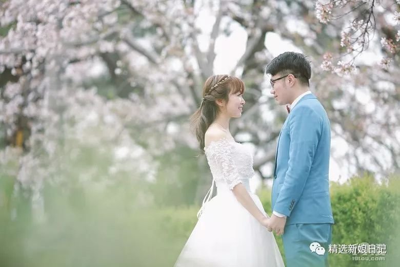 不用去日本不用去武汉就能看樱花,不用去日本就能看到日本风景