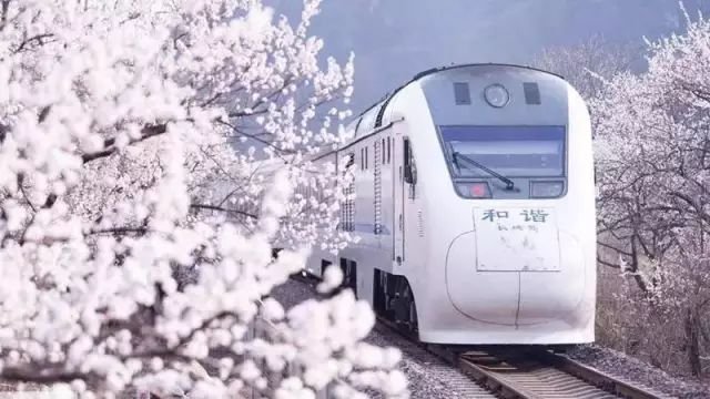 不用去日本不用去武汉就能看樱花,不用去日本就能看到日本风景