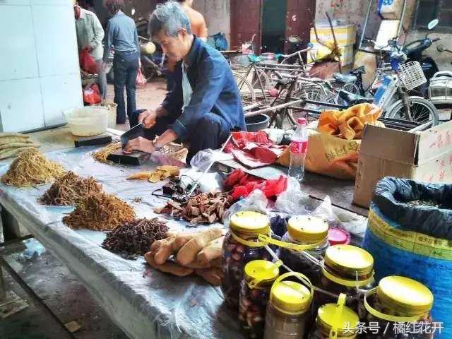 你好湛江吴川仔粤语版,欢迎来到吴川