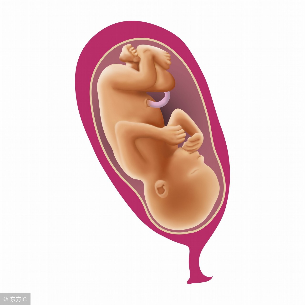 七个月宝宝胎位不正怎么纠正,七个月宝宝胎位不正怎么办