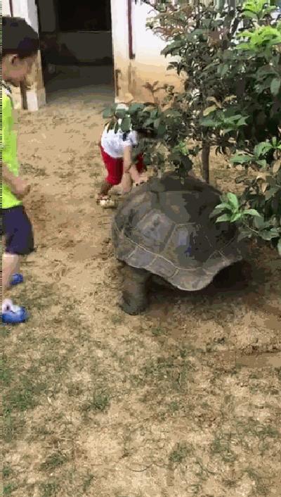 治好了我多年萝莉控技巧高超的内涵动态图