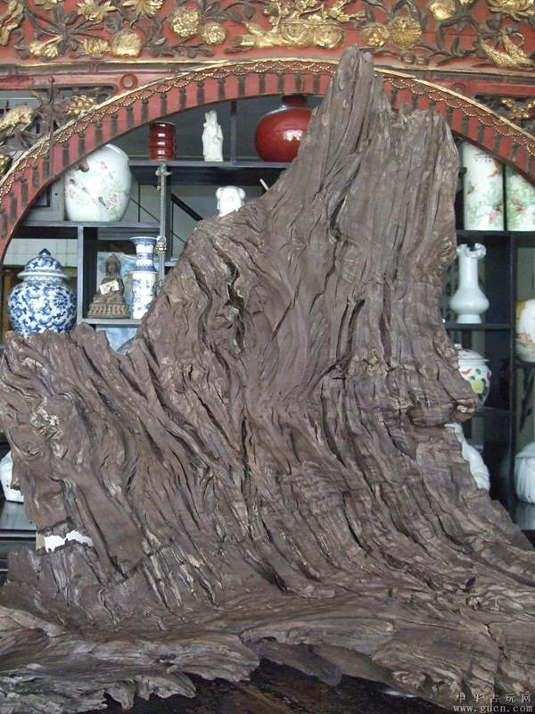 阴沉木如何鉴定树种,阴沉木鉴定最简单方法