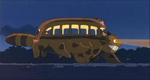 感觉自己养了一只猫是假猫 (你会觉得自己养了一只假猫吗)