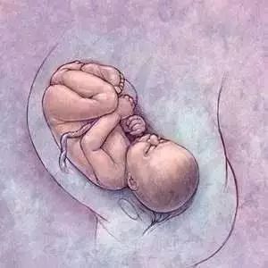 双顶径偏小终于补上来,双顶径偏小吃什么补得快