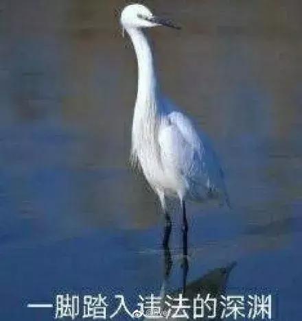 8岁小孩偷家里钱的原因,10岁孩子偷家里的钱还满嘴谎言